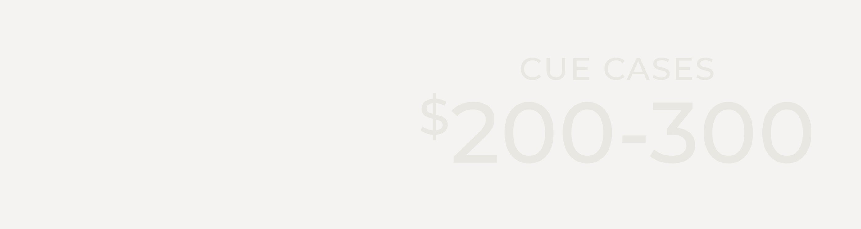 Cue Cases $200 - $300